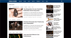 Desktop Screenshot of duniaklenik.com